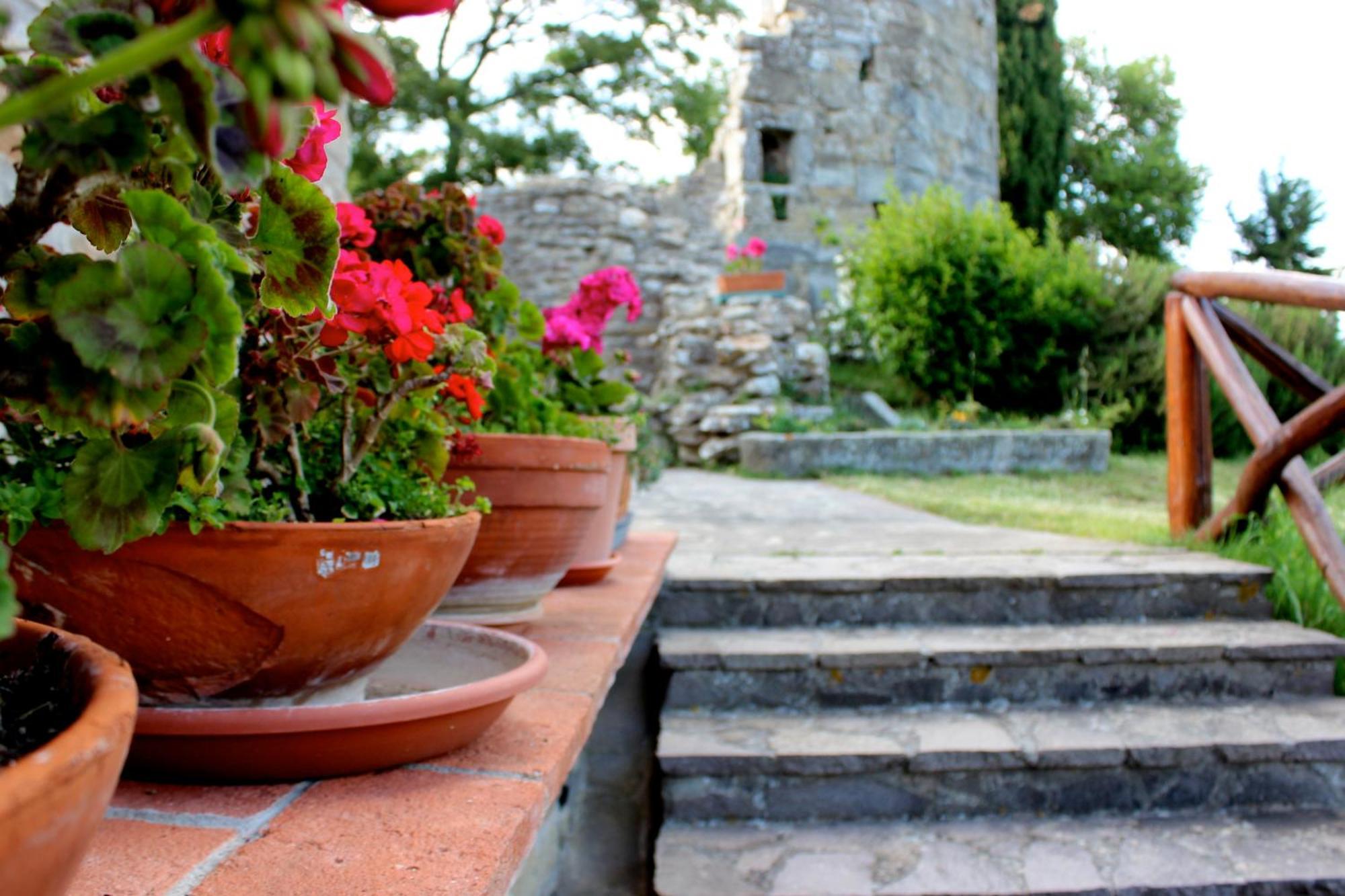 Palazzo del Pero Agriturismo Badia Ficarolo מראה חיצוני תמונה